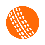 icon sport